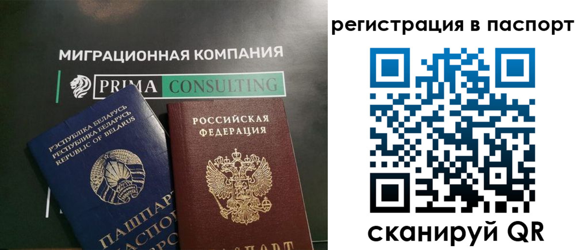 прописка для школы в Нелидово